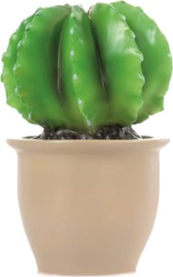 Lampi - kaktus