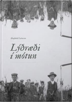 Lýðræði í mótun