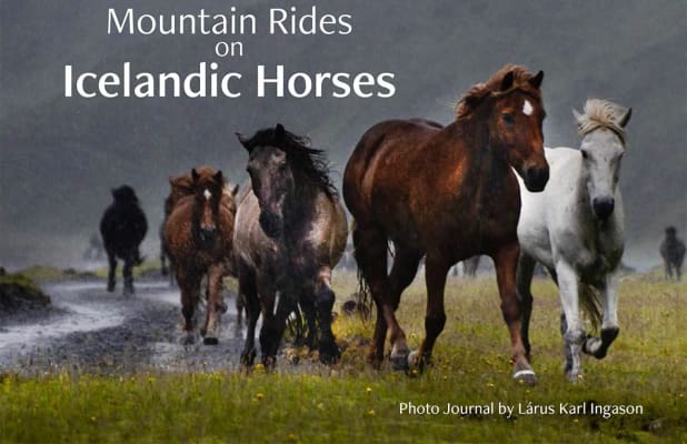 Mountain Rides on Icelandic Horses