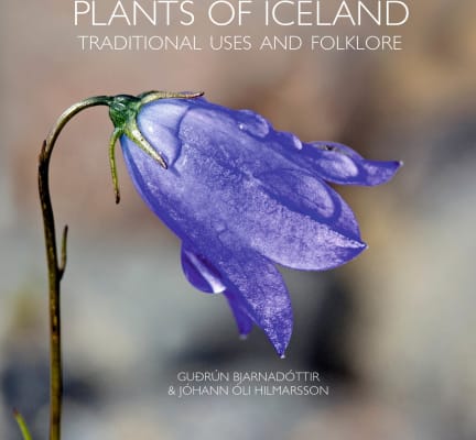 Plants of Iceland - traditional uses and folklore