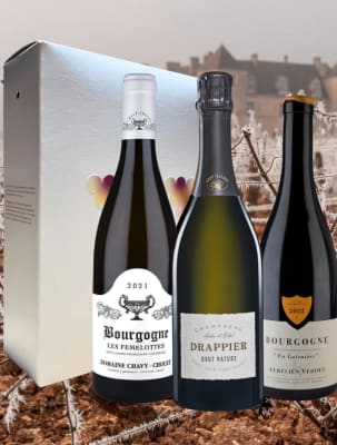 Santé 101 í gjafaöskju