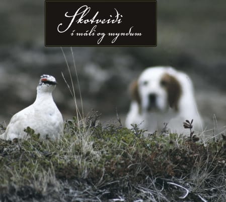 Skotveiði í máli og myndum