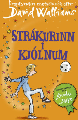 Strákurinn í kjólnum