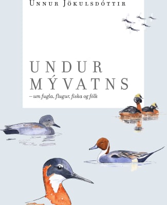 Undur Mývatns - um fugla, flugur, fiska og fólk