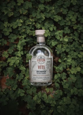 Víti Icelandic Small Batch Brennivín