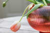 Round Vasi | Coral