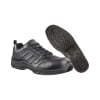 Albatros Business CCSL S3
