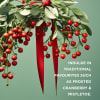 Baylis & Harding Frosted Cranberries Handsápa 500 ml