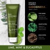 Baylis & Harding Goodness Lime Mint & Eucalyptus sturtu skrúbbur 225 ml