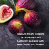 Baylis & Harding Wild Fig lúxus freyðubað