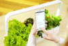 Click and Grow- Smart Garden 9 PRO