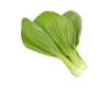 Click and Grow Smart Garden Áfylling 3-pack - Blaðkál