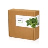 Click and Grow Smart Garden Áfylling 3-pack - Blaðkál