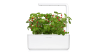 Click and Grow Smart Garden Áfylling 3-pack - Jarðarber (Wild Strawberry)
