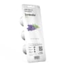 Click and Grow Smart Garden Áfylling 3-pack - Lavender (Lofnarblóm)