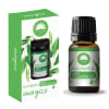 Elysium Spa Aromatherapy Orkuaukandi Eucalyptus Ilmkjarnaolía 10 ml