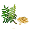 Frankincense Ilmkjarnaolía Relaxation Centre Collection 10 ml