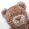 Houston Heavy Teddy Large
