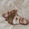 Houston Heavy Teddy Small – þyngdarbangsi