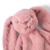Houston Heavy Teddy small Bunny rose