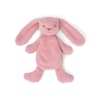 Houston Heavy Teddy small Bunny rose