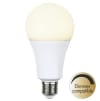 Illumination LED Opal E27 2700K 1900lm Dimmer comp.