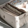 Lily Nursing organizer – Bees and bears