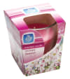 Pan Aroma Ilmkerti í gler glasi - Orchard Blossom
