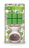 Pan Aroma Ilmolíu lampi og ilmvax (e. wax burner) með ilm af Lemongrass 6 stk