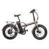 Rawbike 4 750W rafmagnshjól