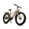 Rawbike Urban 250W rafmagnshjól