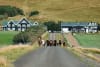 Gisting í svítu, 90 mínútna nudd og aðgangur að spa fyrir tvo auk gönguferðar með leiðsögn frá Skálakot Manor Hotel