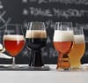 Spiegelau Beer Cl. tasting kit Craft beer 4 stk.