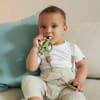 Starter set Olive