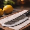 USHI Butcher knife 20 cm