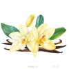 Vanillu Ilmkjarnaolía Relaxation Centre Collection 10 ml