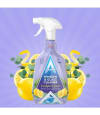 Window & Glass Cleaner Eucalyptus & Lemon 750ml