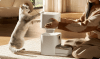 Xiaomi Smart Pet Food 2 gæludýrafóðrari