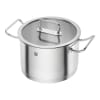 Zwilling Pro pottasett
