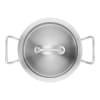 Zwilling Pro súpupottur
