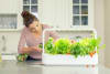 Click and Grow Smart Garden 9 Starter Kit HVÍTUR
