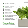 Click and Grow Smart Garden Áfylling 3-pack - Romaine Lettuce