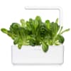 Click and Grow Smart Garden Áfylling 3-pack - Romaine Lettuce