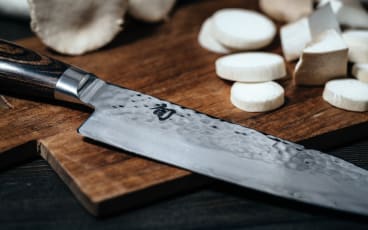 Progastro