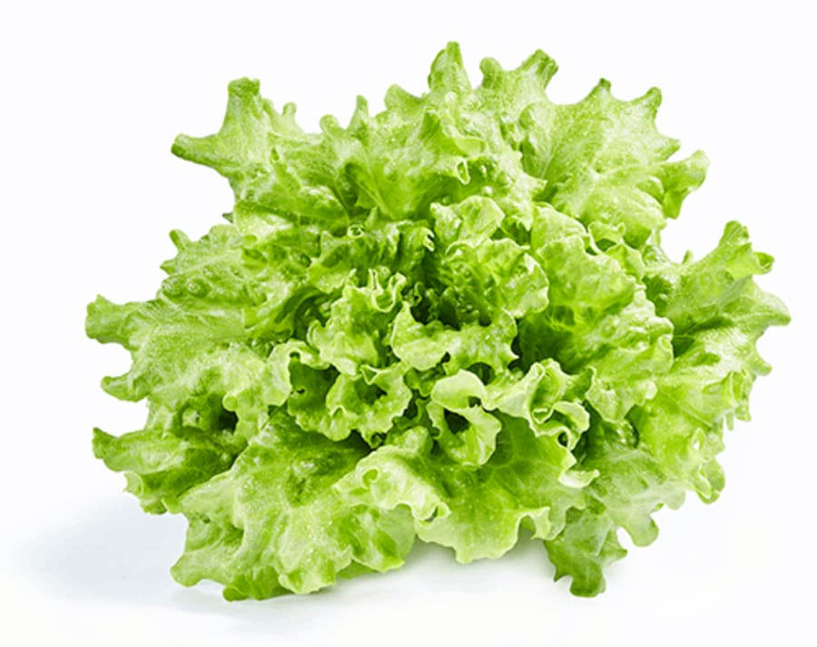 Lambahagi salat í potti 150 gr