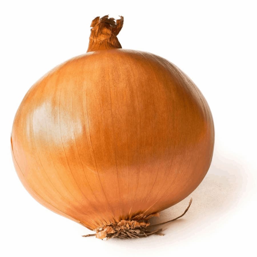 Laukur hvítur