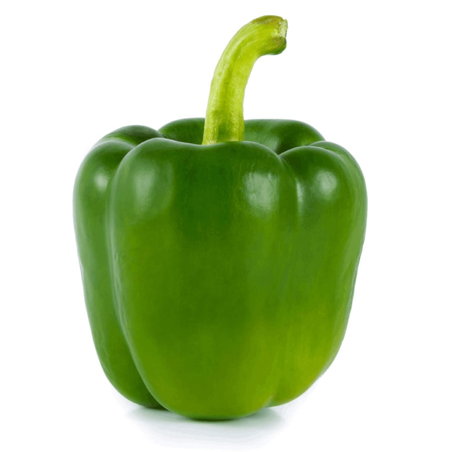 Paprika græn holland