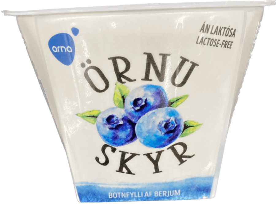 Arna skyr bláber 200 gr