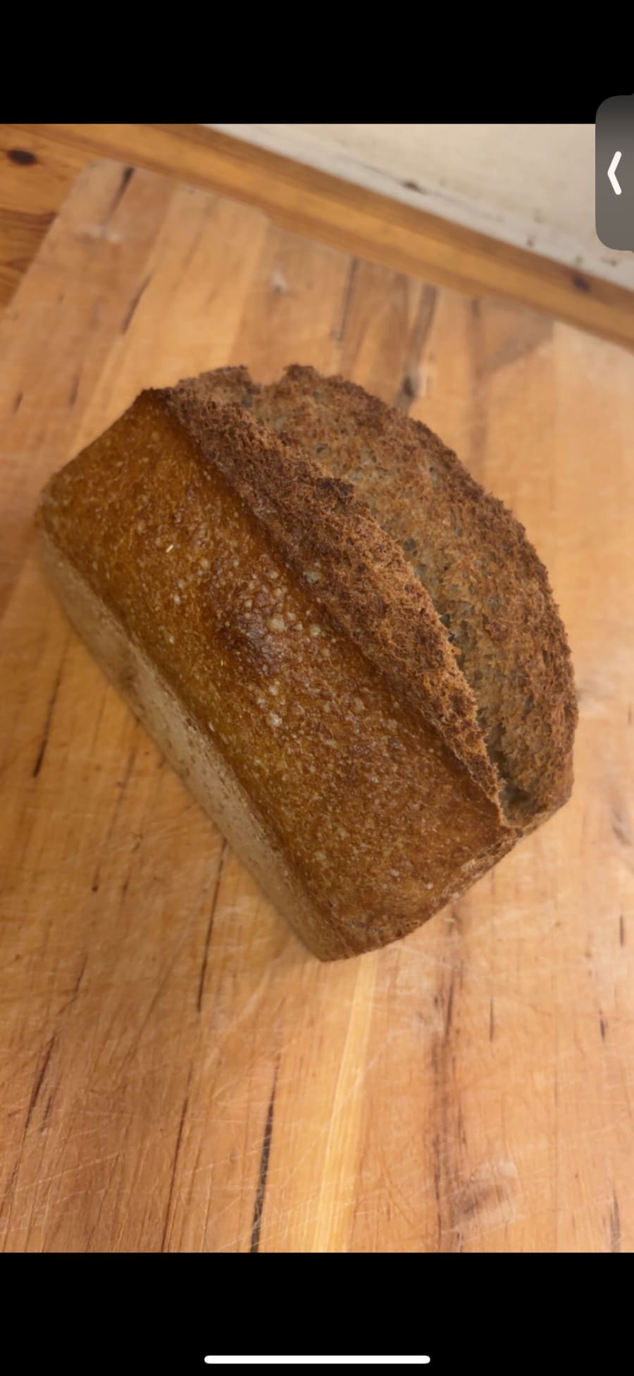 Spelt brauð