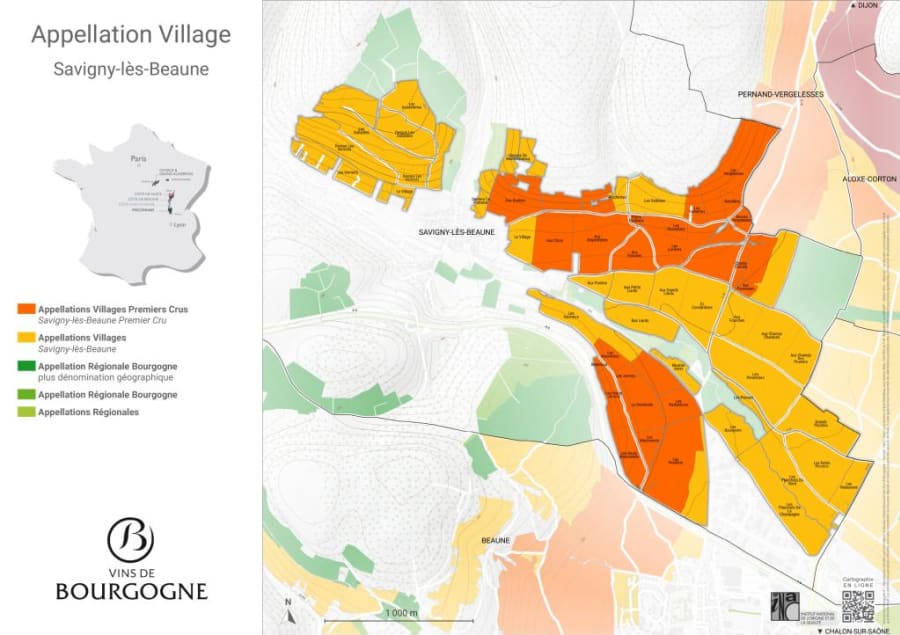 2023 Arnaud Baillot Savigny-Les-Beaune